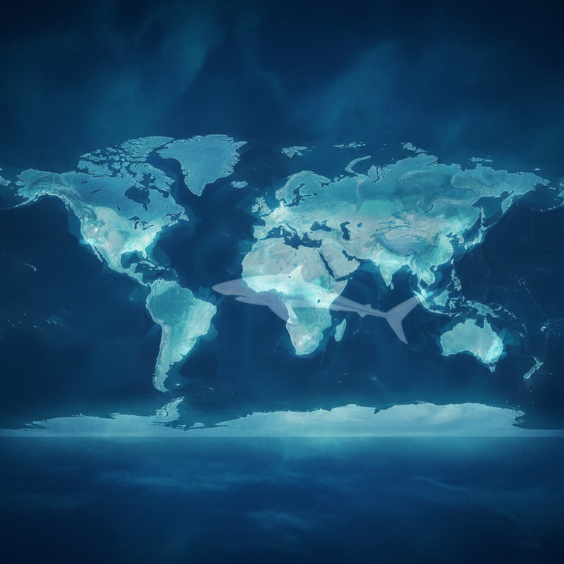 Môi trường sống và bản đồ phân bố địa lý toàn cầu