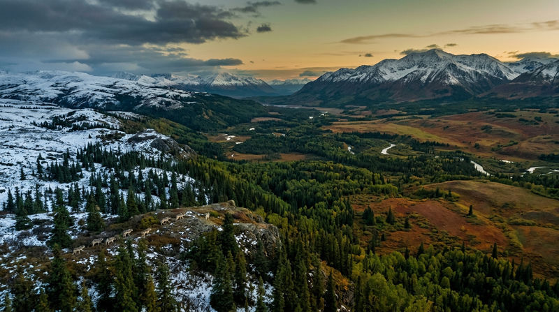 Phân bố địa lý và Môi trường sống tự nhiên