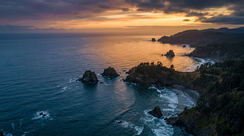 Môi trường sống và phân bố địa lý của các quần thể