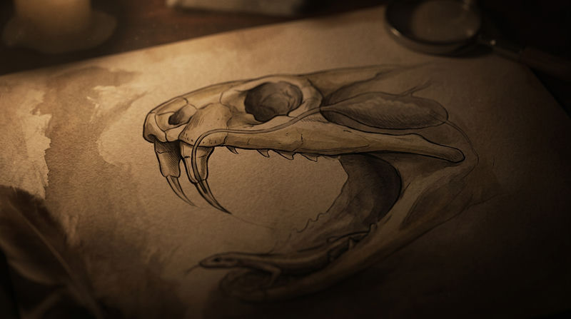 Tập tính săn mồi, Chế độ dinh dưỡng và Sinh sản